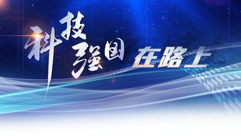 物联网外包协议规范：规范背后的意义与批发价格考量**